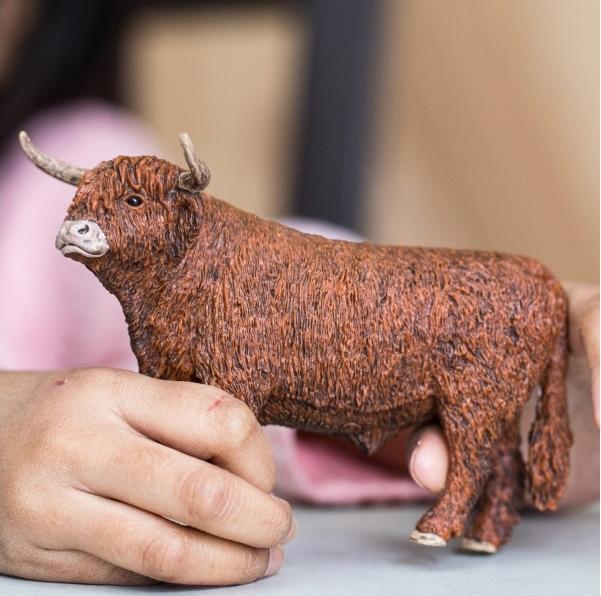 Actual product image Schleich FARM WORLD Highland Bull