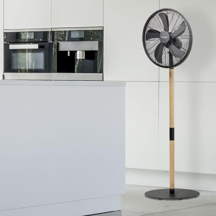 Actual product image Bestron Standing fan (54 dB)