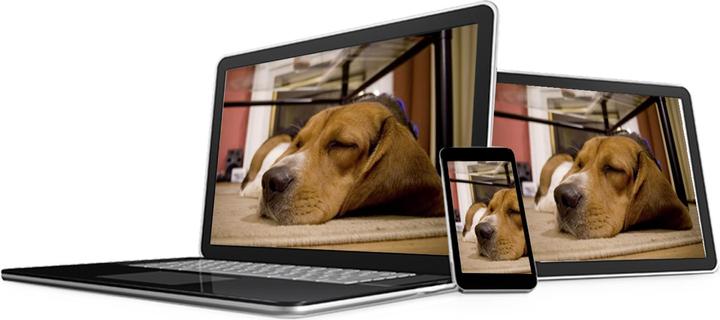 Image du produit Kerbl Caméra de surveillance EYENIMAL Pet Vision Live HD