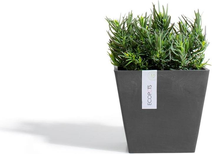 Produktbild Ecopots Rotterdam (30 cm)