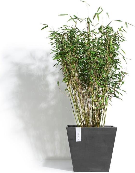 Actual product image Ecopots Rotterdam (40 cm)