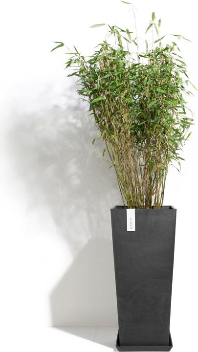 Actual product image Ecopots Rotterdam High (32 cm)