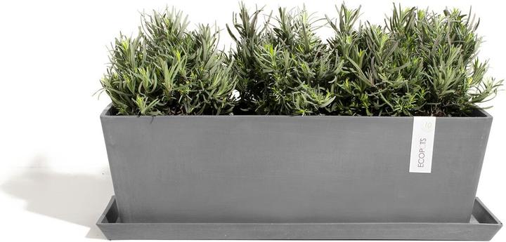 Actual product image Ecopots Bruges (17 cm)