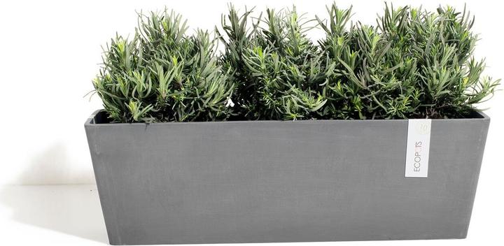 Actual product image Ecopots Bruges (17 cm)