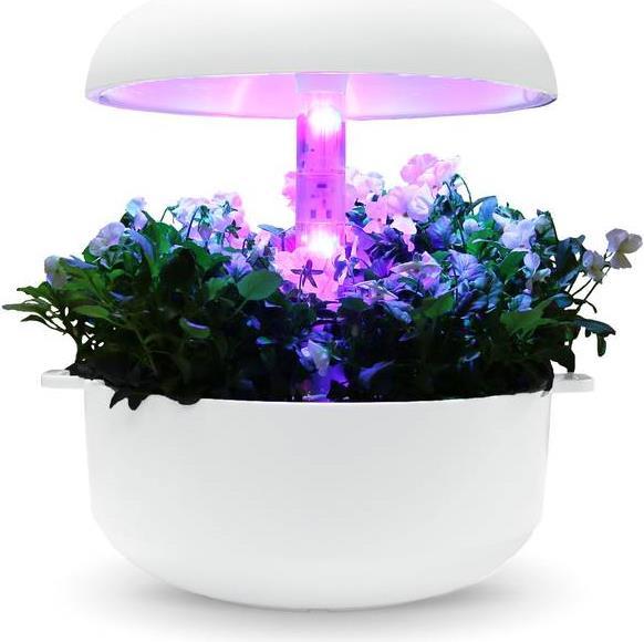 Immagine prodotto Plantui Blocco luminoso (LED)