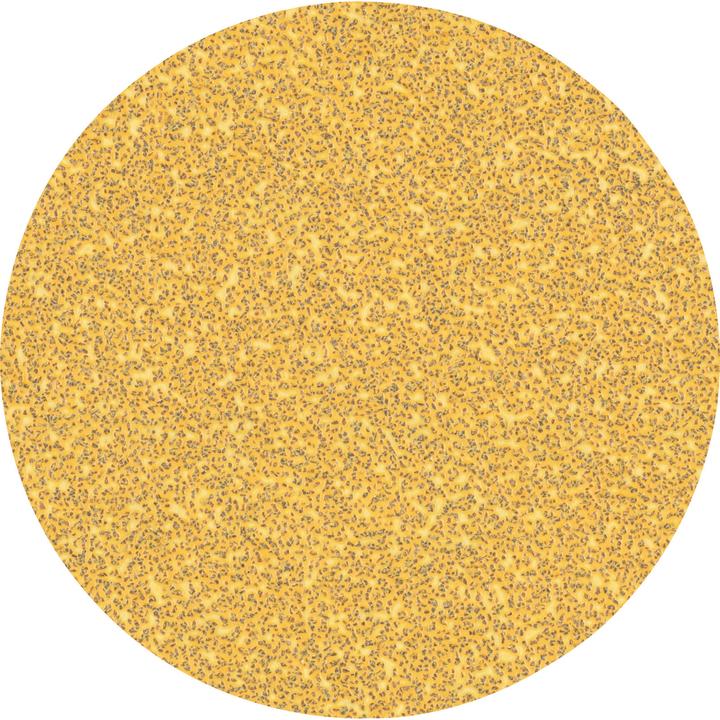 Actual product image Bosch Professional Zubehör Expert C470 Sandpaper without holes for angle grinders and drills, 125 mm, G 40, 50 pcs. (40)