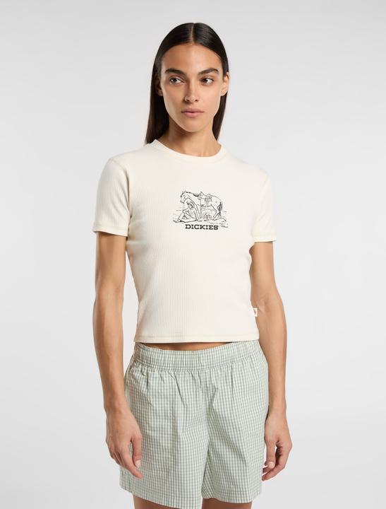 Actual product image Dickies Companion Center Logo Ss Tee W Whitecap Gray (XS)