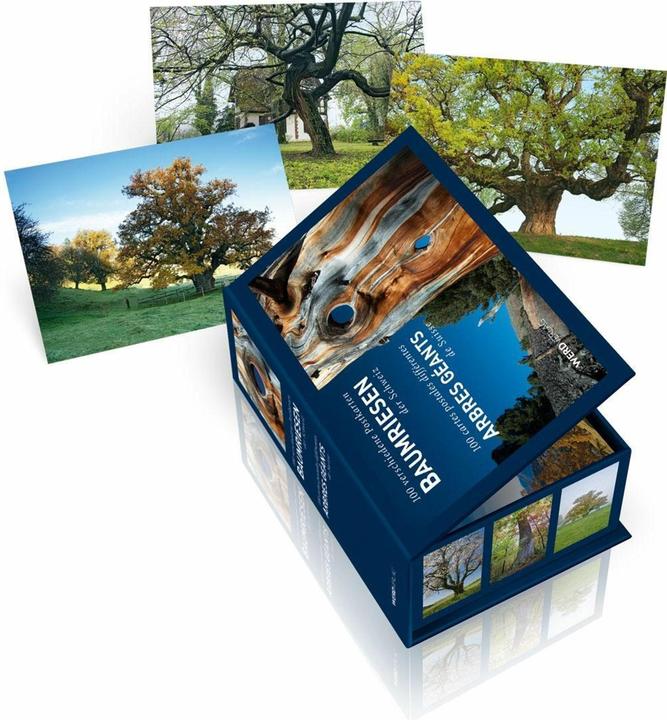 Actual product image Postcard box Giant trees of Switzerland (100 pcs.)