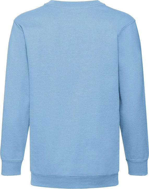 Actual product image Fruit of the Loom Classic jumper 8020 (pack of 2) (146)