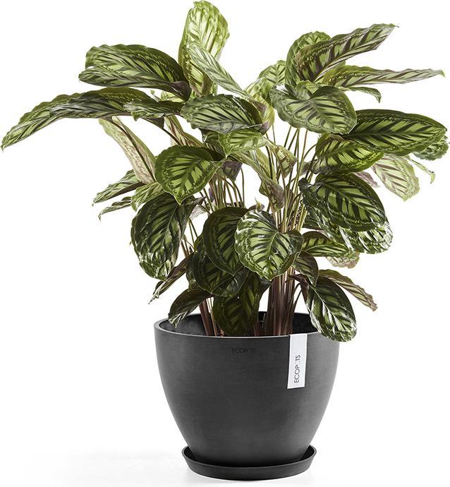 Produktbild Ecopots Saucer Round