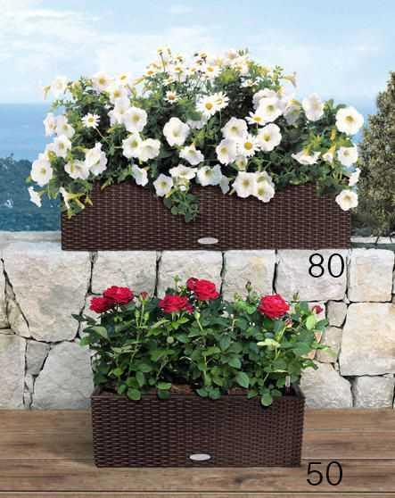 Actual product image Lechuza Balconera Cottage (19 cm)
