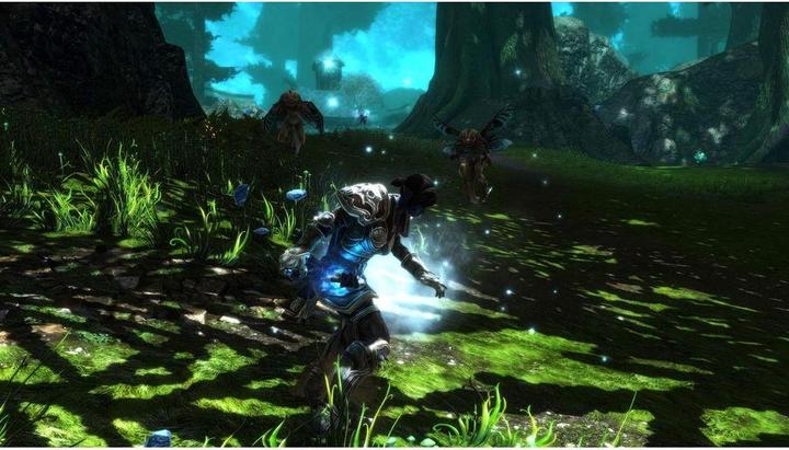 Image du produit THQ Kingdoms of Amalur - Reckoning Edition définitive (Xbox One X, Xbox Series X, IT, FR)