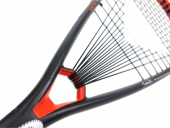 Immagine prodotto Tecnifibre Dynergy AP 125