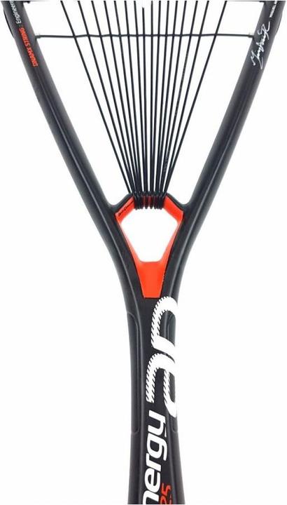 Immagine prodotto Tecnifibre Dynergy AP 125