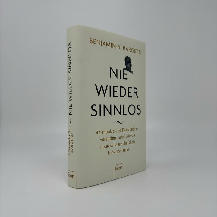 Produktbild Nie wieder sinnlos (Deutsch, Benjamin B. Bargetzi, 2025)