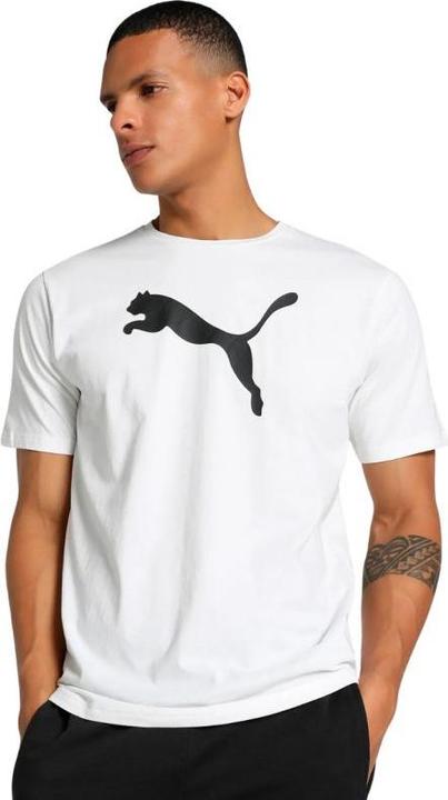 Image du produit Puma teamRISE Logo Jersey Cotton (XL)