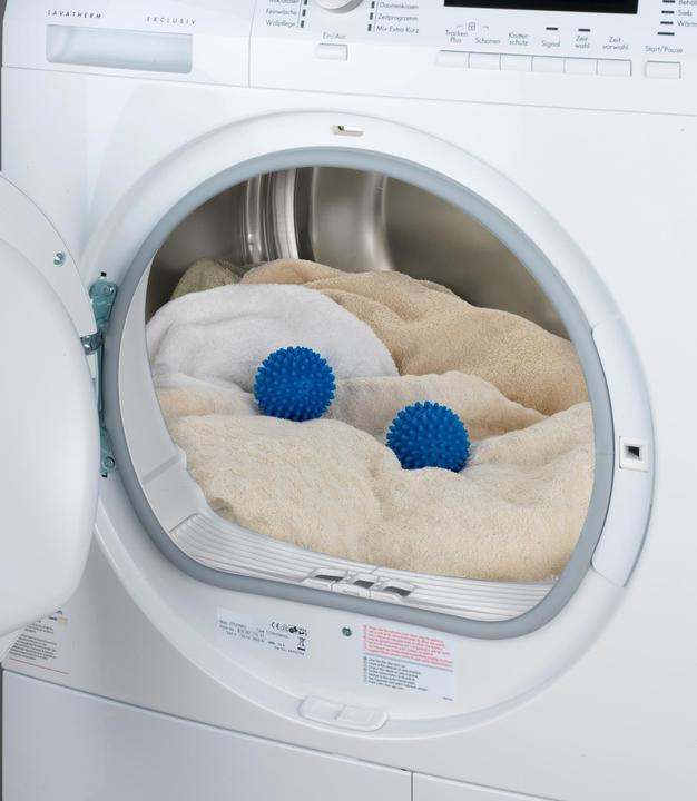 Actual product image Wenko Dryer balls