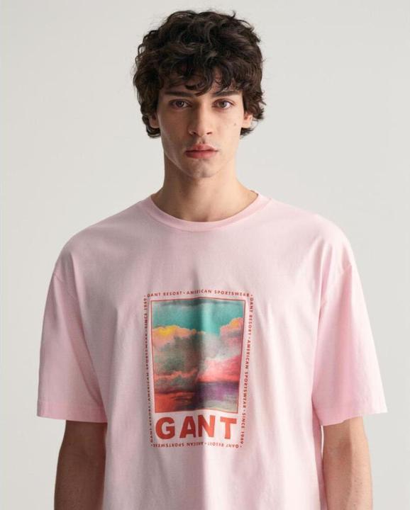 Actual product image GANT t-hirt wahed graphic (S)