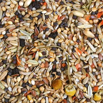 Produktbild JR Farm Birds Premium Kanarien (1 x, 1 kg)
