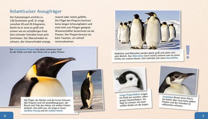 Actual product image Meine grosse Tierbibliothek: Der Pinguin (German, Dr. Jens Poschadel, 2020)
