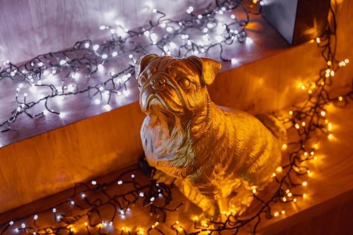 Actual product image Twinkly Cluster (6 m)
