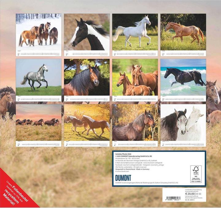 Produktbild Geliebte Pferde 2026 – DUMONT-Wandkalender – Pferdefotografie von Christiane Slawik Format – 38,0 x (Harter Einband, Englisch, Französisch, Deutsch)