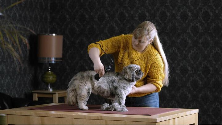 Actual product image Moser max45 (Dog)
