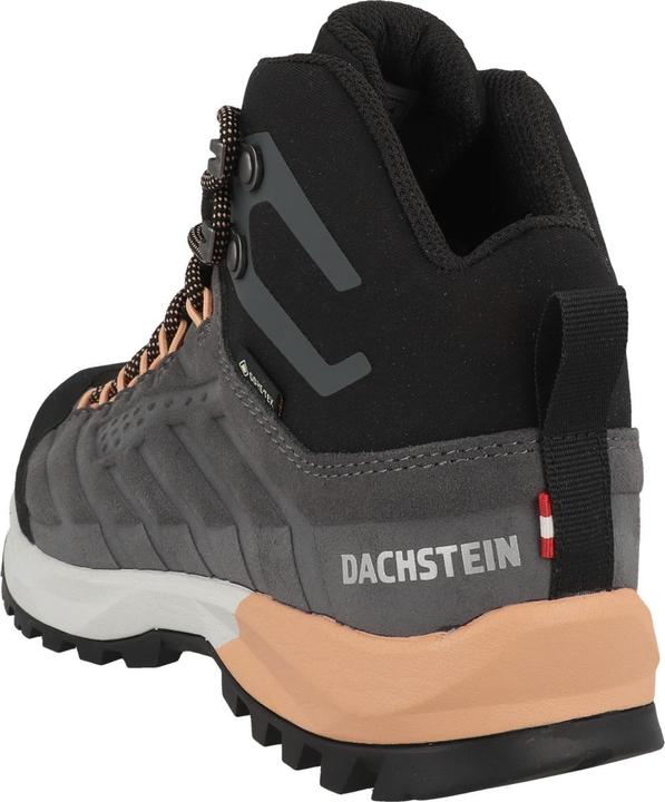 Image du produit Dachstein SF-21 MC GTX (38.5)