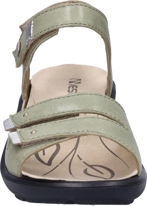 Image du produit Westland 25902-644 (39)