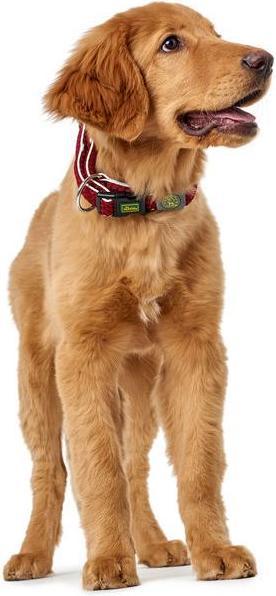 Immagine prodotto Hunter Collare per cani Hilo Vario Plus (XL, Cane, Sport cane)