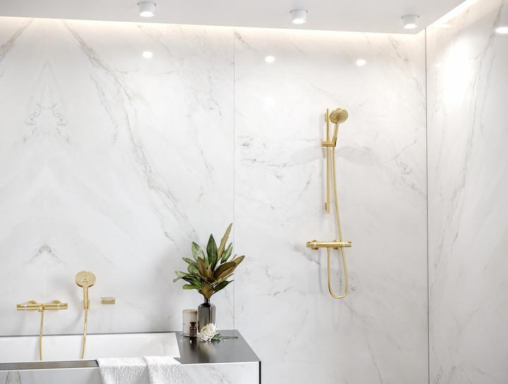 Productafbeelding hansgrohe Zeephouder AddStoris, gepolijst goud
