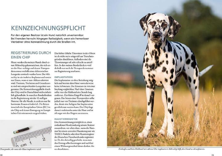 Produktbild Kosmos Hundeführerschein und Sachkundenachweis (Deutsch, Sandra Bruns, 2020)