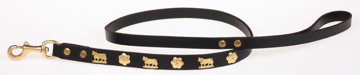 Image du produit Jenni Hemden Laisse pour chien Appenzeller (Chien)