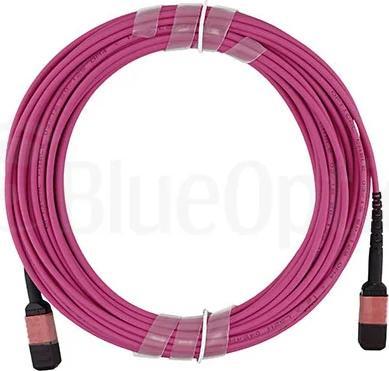 Actual product image BlueOptics 470-ADBK kompatibles MPO-MPO Multimode OM4 Patchkabel 3 Meter (470-ADBK-BO) (U/UTP, 3 m)