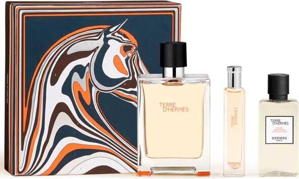 Hermès Herms Terre D'Herms Parfum 100 ml + Parfum 15 ml + AS 40 ml (Herren)