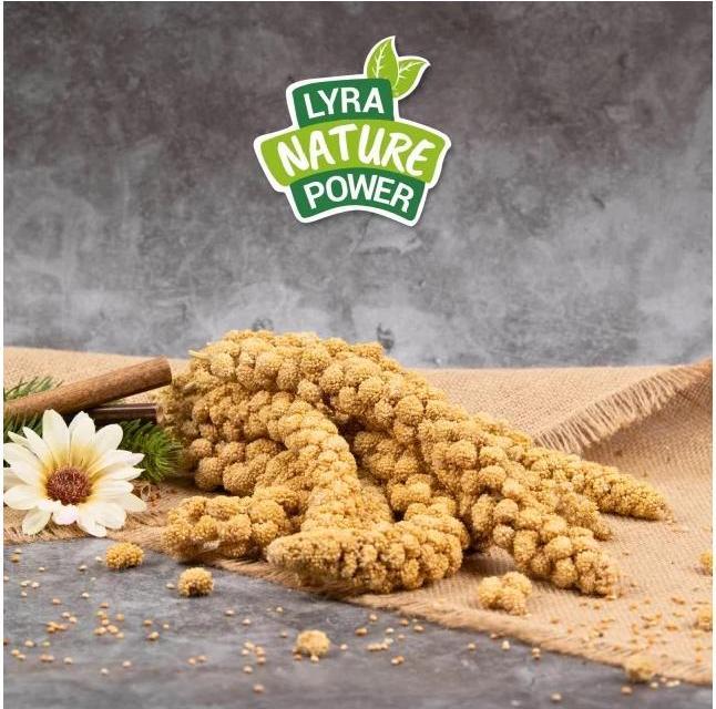Actual product image Lyra Pet Foxtail millet (1 x, 1 kg)