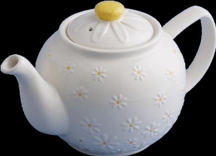 Price & Kensington Teekanne 6 Tassen Daisy