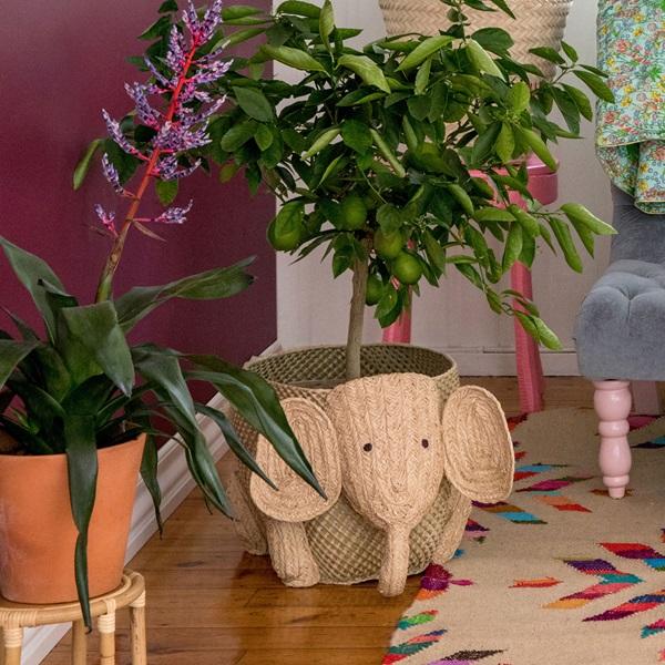 Produktbild Rice Elephant (1 x)