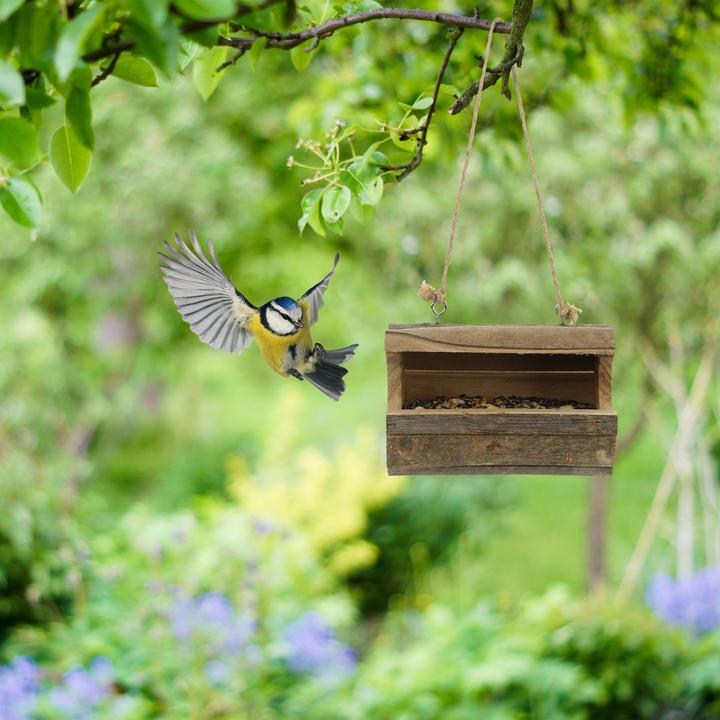 Produktbild Relaxdays Vogelfutterhaus