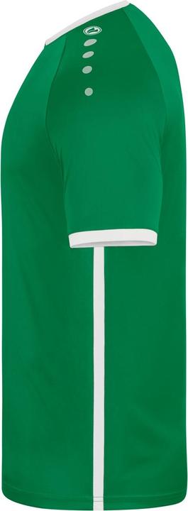 Immagine prodotto JAKO Maglia Primera KA (116)
