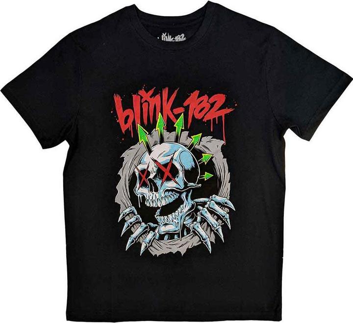 Blink 182 Six Arrow Skull