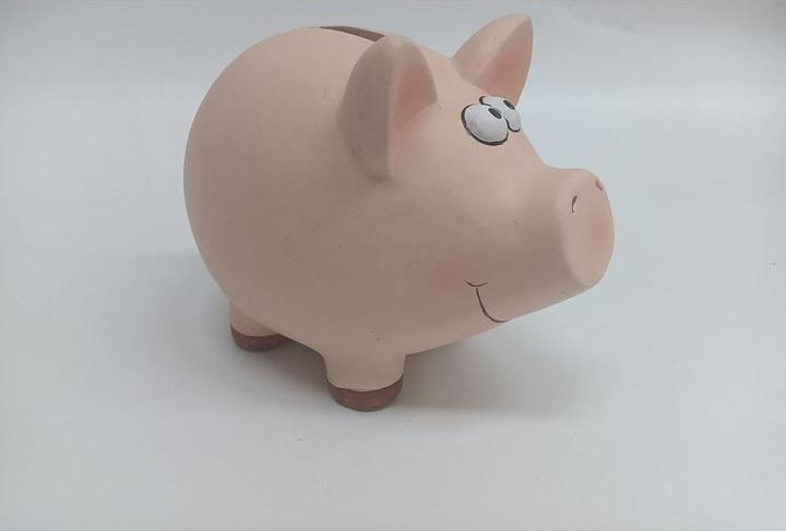 Roost Sparkasse Schwein (18.5 x 14.5 x 15.5 cm)