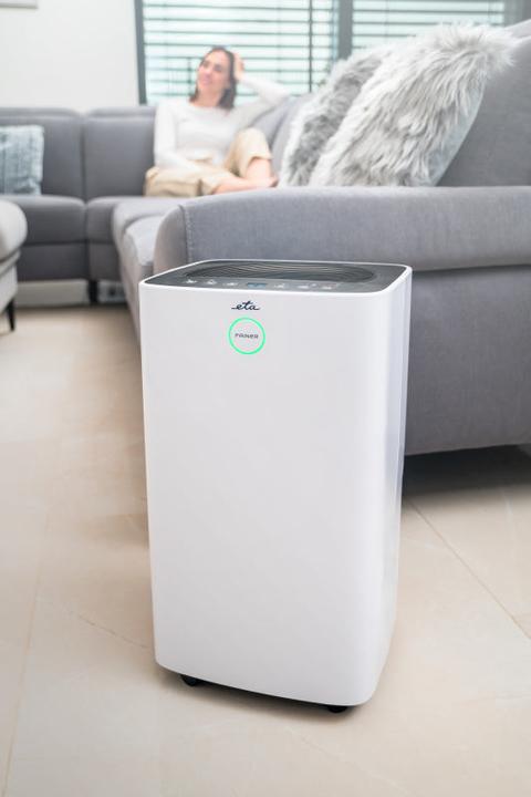 Image du produit ETA Fainer (60 m², 12 l/24h)
