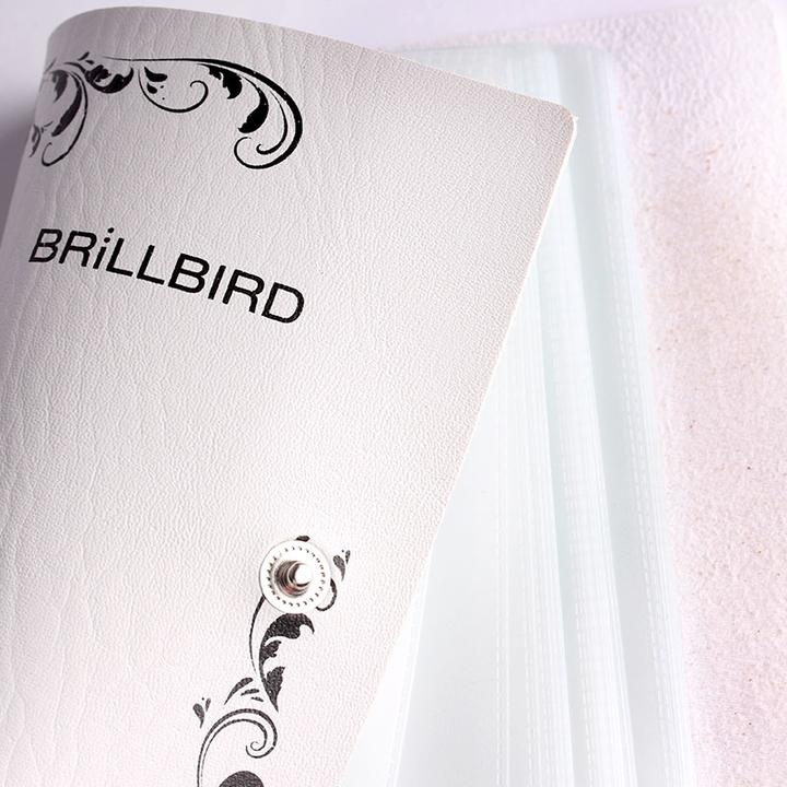BrillBird Schablonen und Sticker Aufbewahrung (Nagellacktrockner)