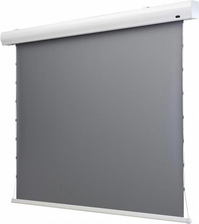 Produktbild Celexon HomeCinema Dynamic Slate ALR (120", 16:9)