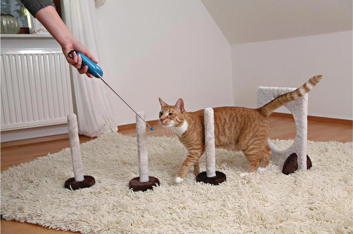 Actual product image Trixie Target Stick (Intelligence toy cat)