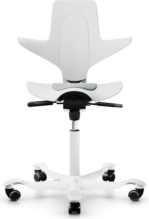 HAG Capisco Pulse 8010