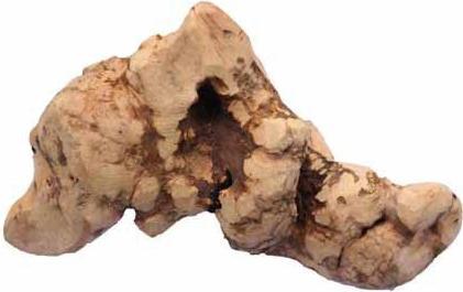 Produktbild Chewies Kauwurzel (Adult, 1 Stk., 350 g)