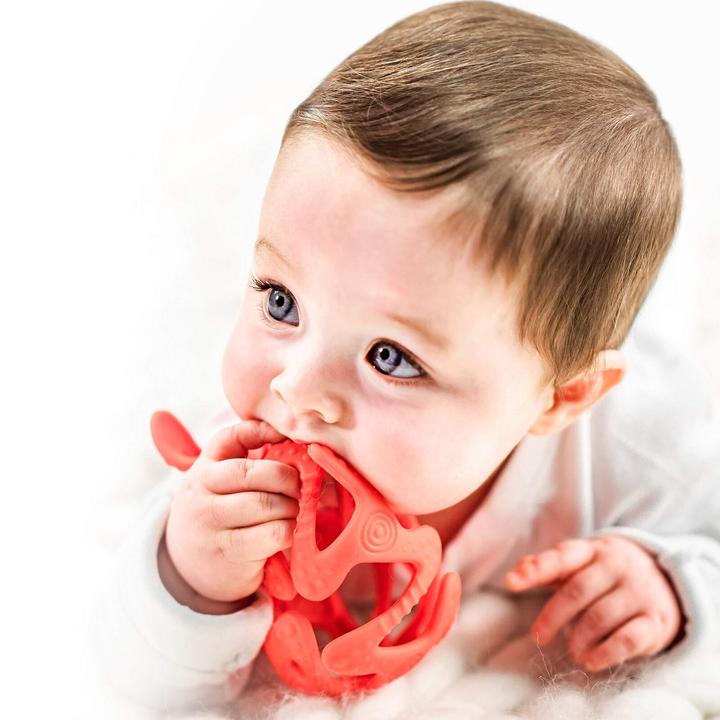 Actual product image Nuby Beissball