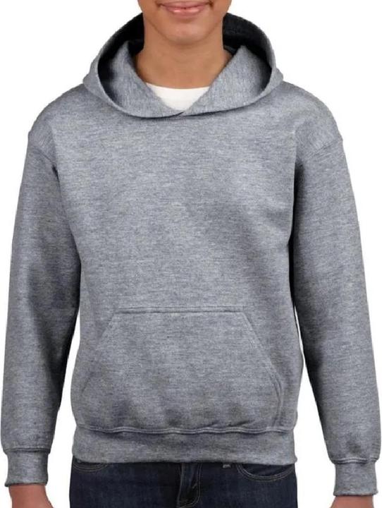 Actual product image Gildan Sweatshirt With Hood (M)